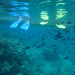 SnorkellingSouthPacific-LoriMitchell